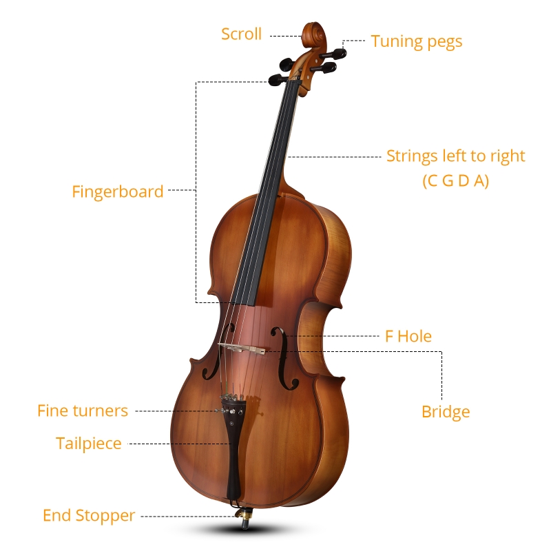 Ktaxon 4/4 Full Size Cello with Bag Bow Rosin Bridge for Beginners