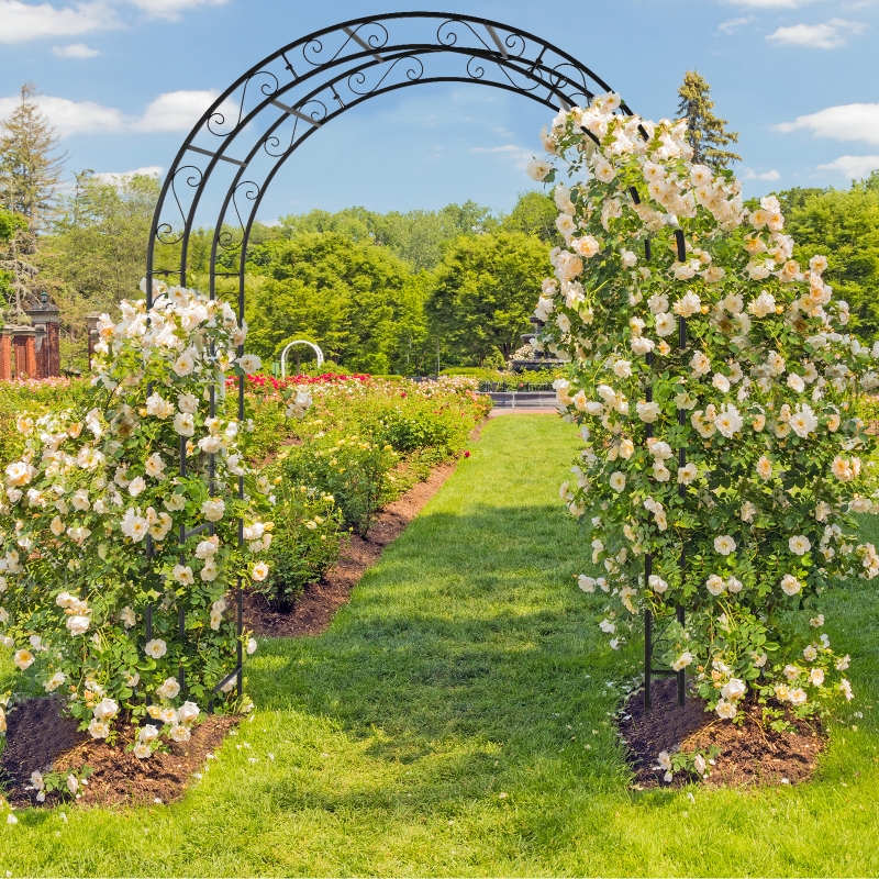 Ktaxon Metal Garden Arch 7Ft Garden Trellis Arch Arbor for Climbing