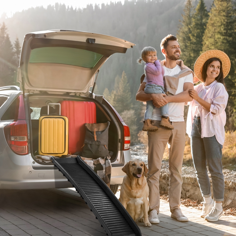 Travel dog ramp top